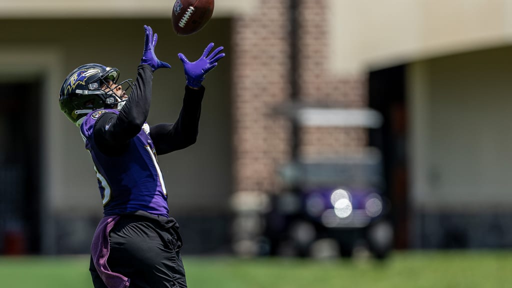 How Baltimore Ravens rookie Devin Duvernay's family of athletes