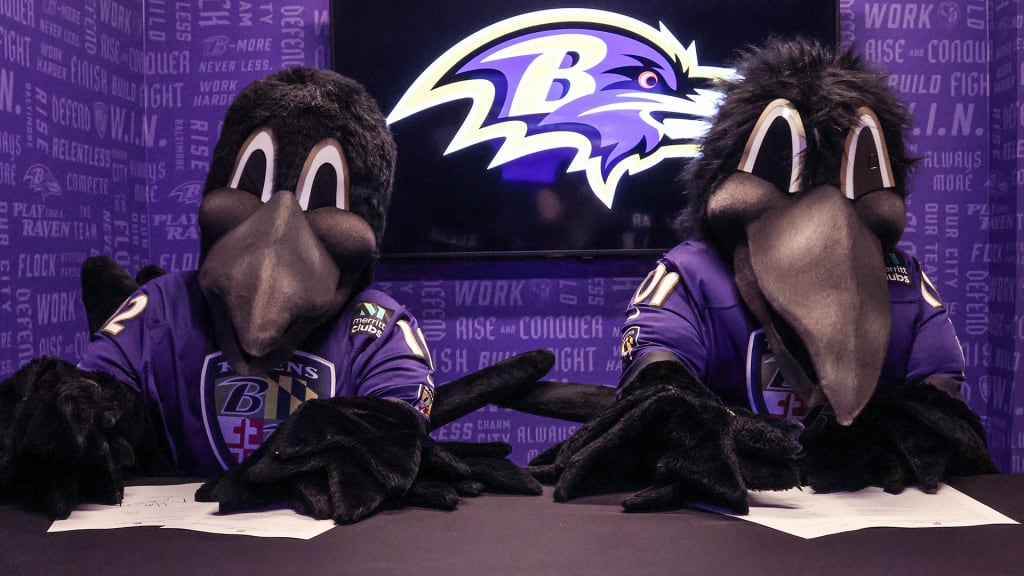 poe comes back to ravens｜TikTok Search