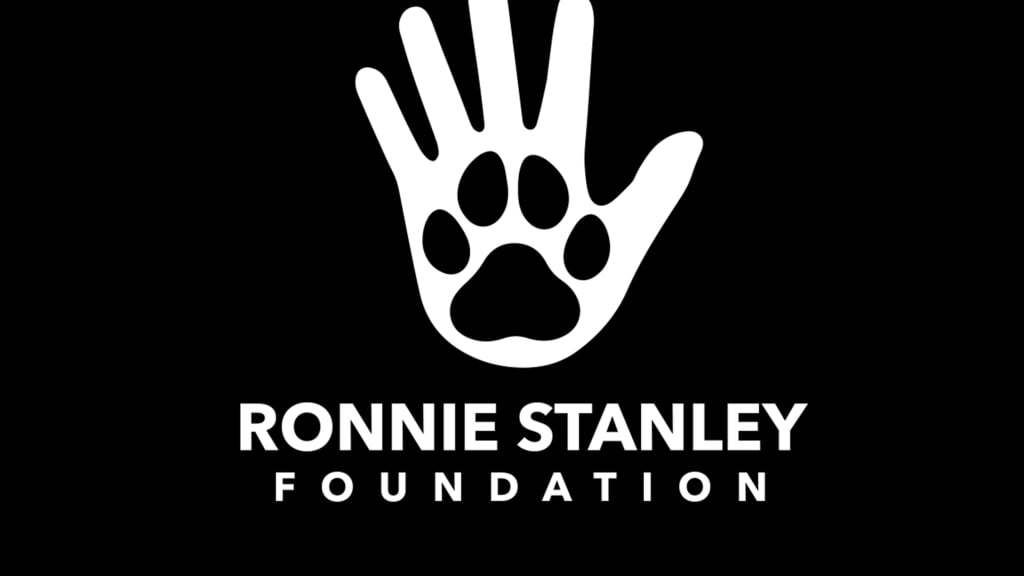 Baltimore Ravens Ronnie Stanley Launches Foundation for Rescue Dogs -  Sports Illustrated Baltimore Ravens News, Analysis and More