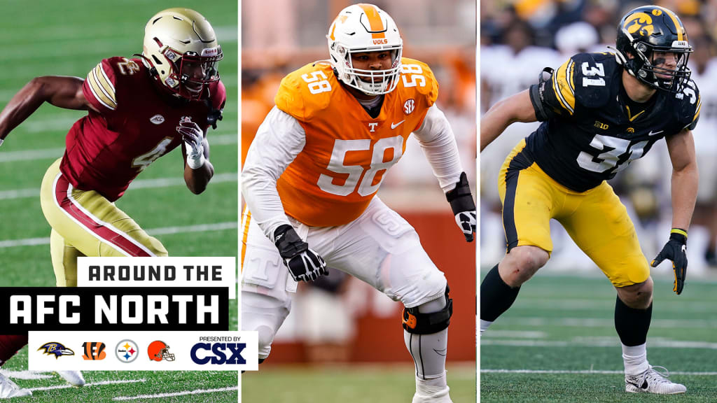 Best 2019 NFL Draft player fits for each team in the AFC North, NFL Draft