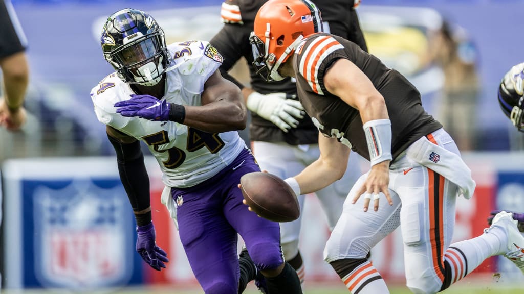 Baltimore Ravens linebacker Tyus Bowser (54) takes to the field before an NFL  football game against the Denver Broncos, Sunday, Dec. 4, 2022, in  Baltimore. (AP Photo/Nick Wass Stock Photo - Alamy