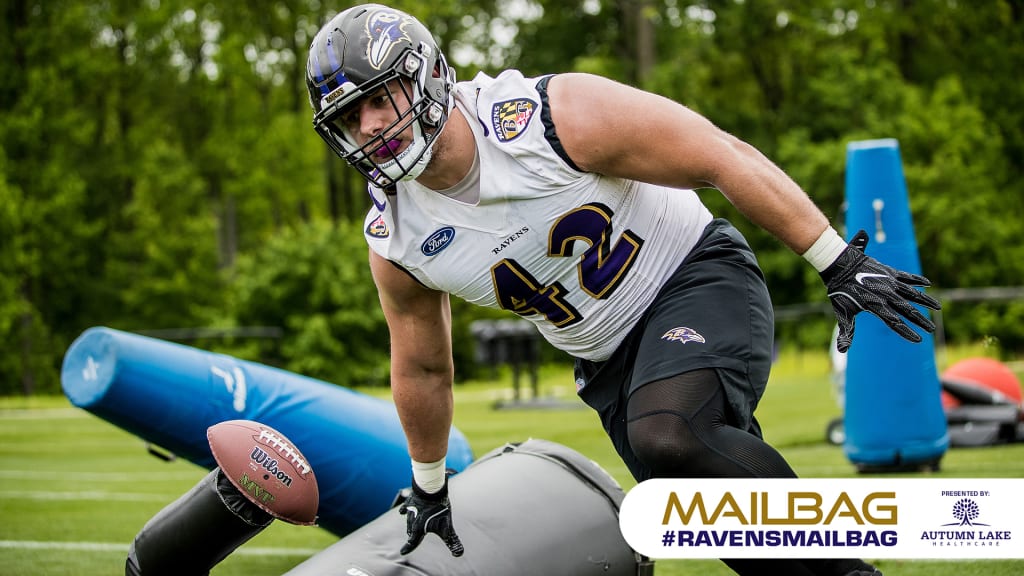 Patrick Ricard working with offensive line - Baltimore Beatdown