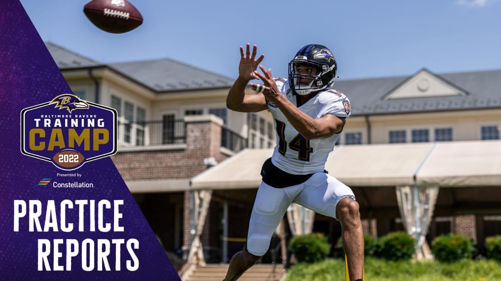 Baltimore Ravens safety Kyle Hamilton works out during his team's NFL  football training camp, Wednesday, Aug. 2, 2023, in Owings Mills, Md. (AP  Photo/Julio Cortez Stock Photo - Alamy