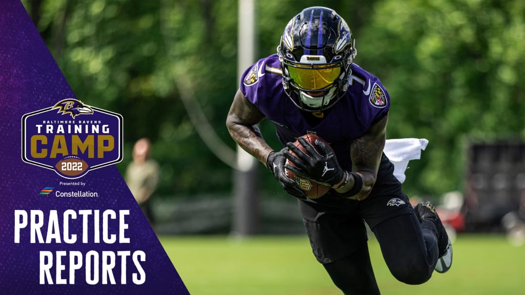 Ravens WR Devin Duvernay discusses how role as returner could help him as  pass catcher