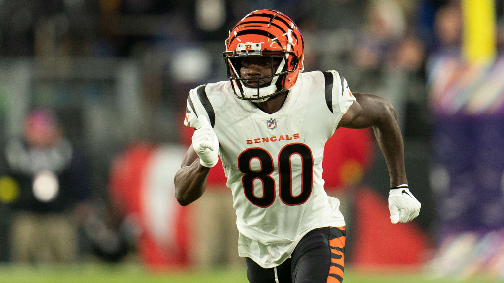 Cincinnati Bengals wide receiver Mike Thomas runs with the ball