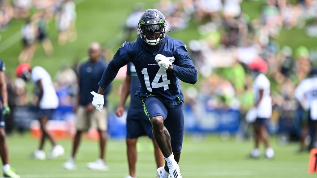 Fantasy Football Rookie Spotlight: D.K. Metcalf