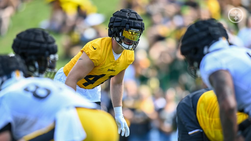 Three Biggest Challenges Brian Flores Must See Devin Bush Win at Pittsburgh  Steelers Training Camp 