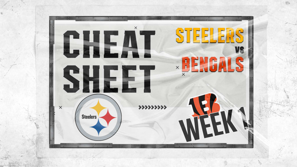 Steelers-Bengals Gameday: TV Info, Lines, More