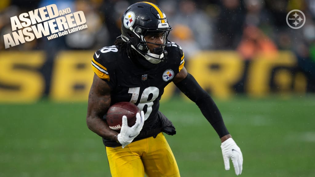 2022 Offseason Questions: Would You Rather Steelers Sign Tyrann