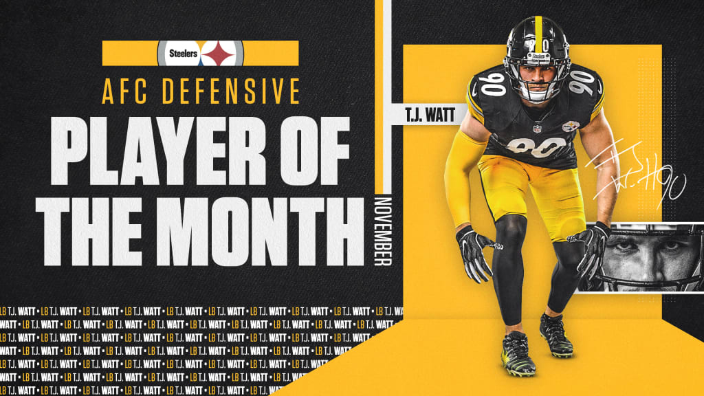 T.J. Watt named AFC Defensive Player of the Month for September