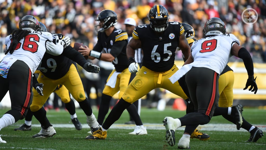 Steelers Run Game Tramples Panthers in Emphatic Fashion