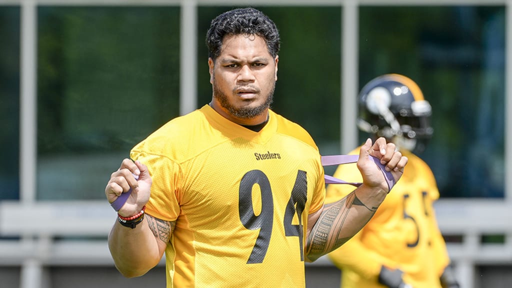 Pittsburgh Steelers defensive end Tyson Alualu (94) celebrates as