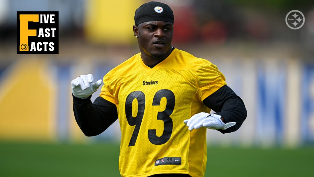 Pittsburgh Steelers linebacker Mark Robinson (93) rushes the quarterback  during an NFL preseason football game against the Tampa Bay Buccaneers,  Friday, Aug. 11, 2023, in Tampa, Fla. (AP Photo/Peter Joneleit Stock Photo  - Alamy