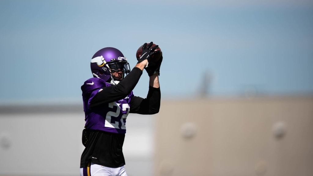 Blue Chips: The Best Players On Vikings Roster