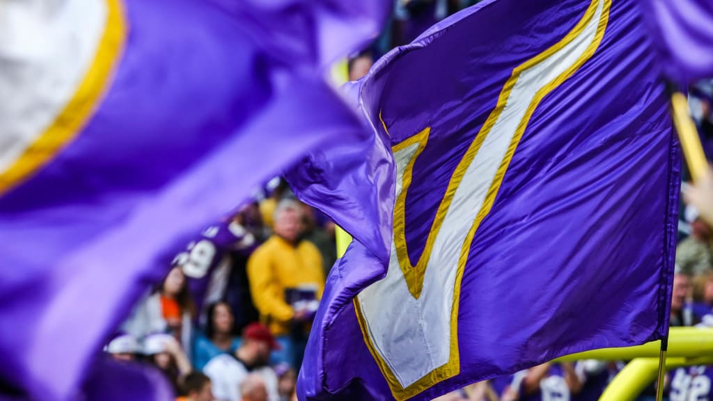 NFL - Minnesota Vikings Car Flag