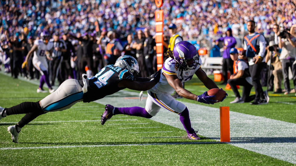 Vikings-Panthers fans battle it out for NFL fan fight of the year honors