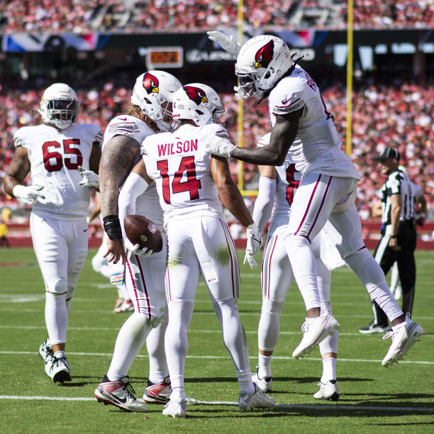 The Birds flying high entering NFC Championship Game: A brief