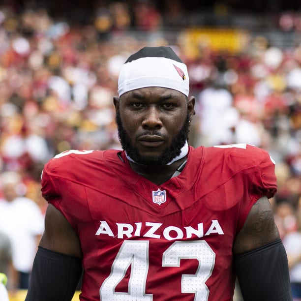 Arizona Cardinals running back Chase Edmonds (29) during an NFL football  game against the Miami Dolphins, Sunday, Nov. 8, 2020, in Glendale, Ariz.  (AP Photo/Rick Scuteri Stock Photo - Alamy