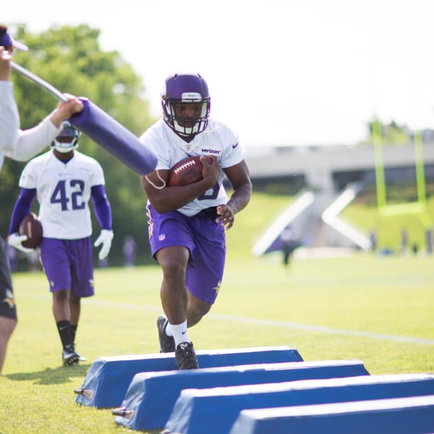 Duluth native C.J. Ham plays 100th game as a Viking 