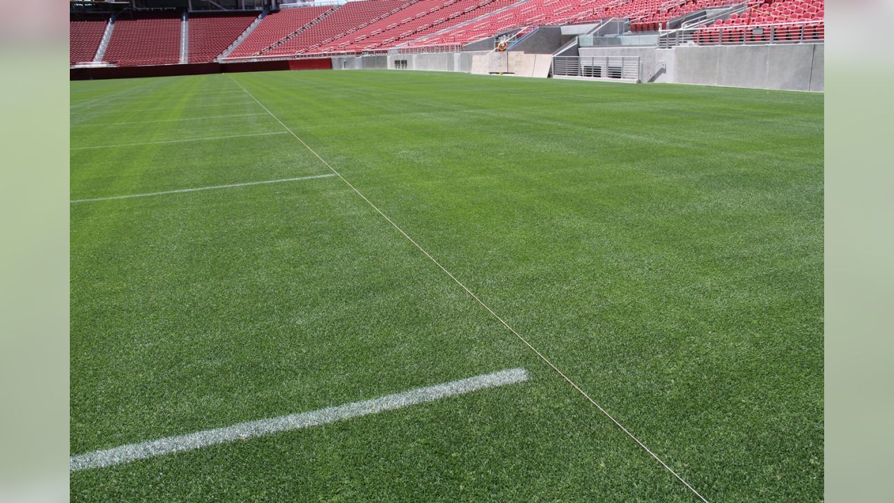 The San Francisco 49s logo painted on the field at the 50 yard