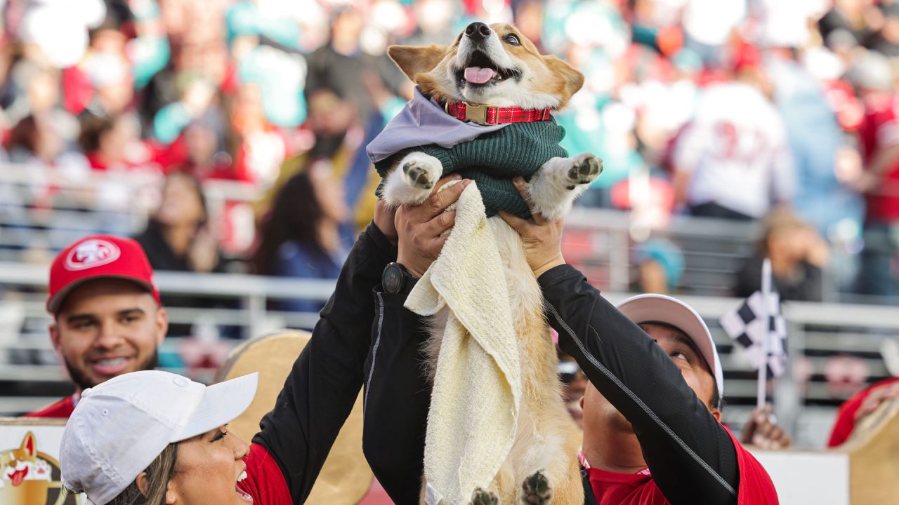 49ERS LIVE BROADCAST FOR FLYOVER RECOGNITION 