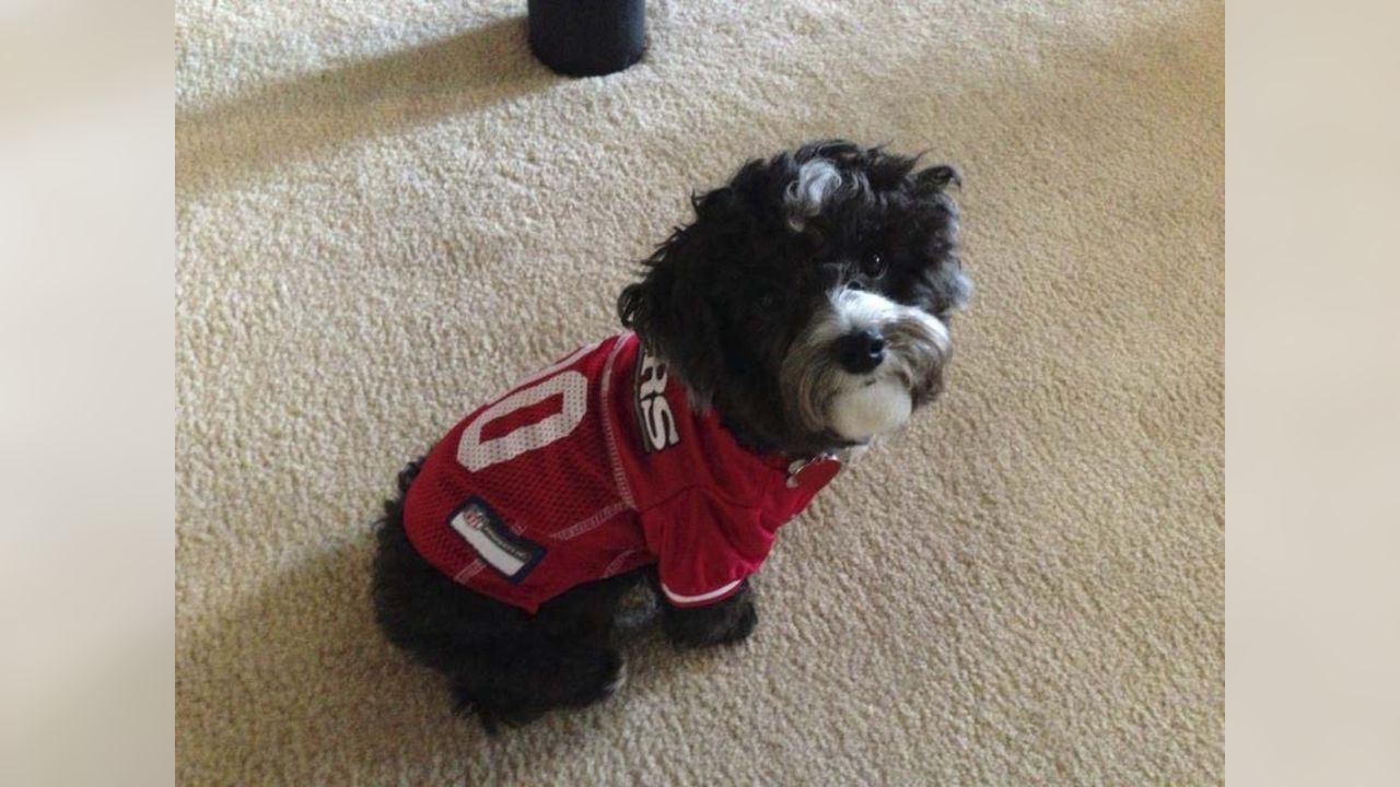 49ers apparel for dogs