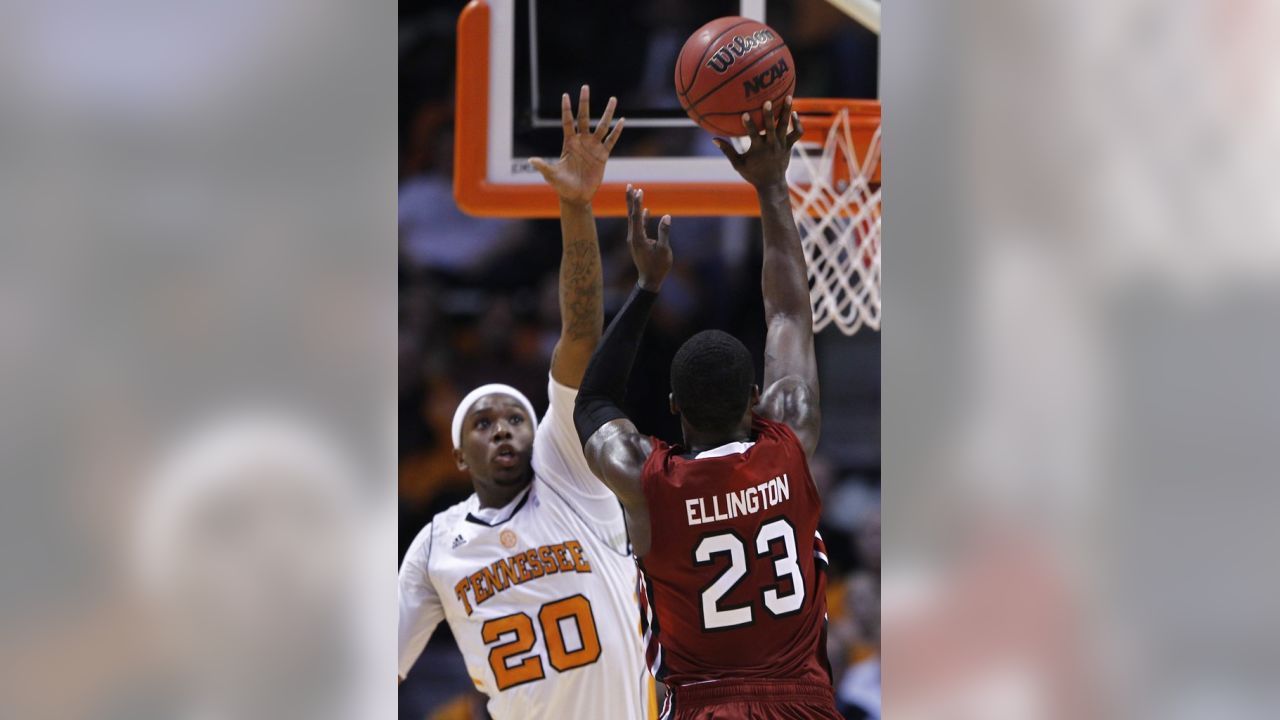 trent brown dunk