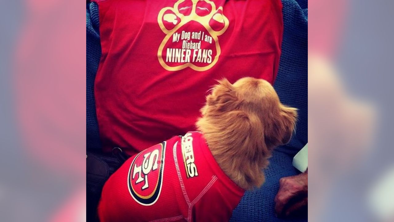 Photo of my dog when he was just a pup! (Jersey used to be mine when i was  a child) : r/49ers