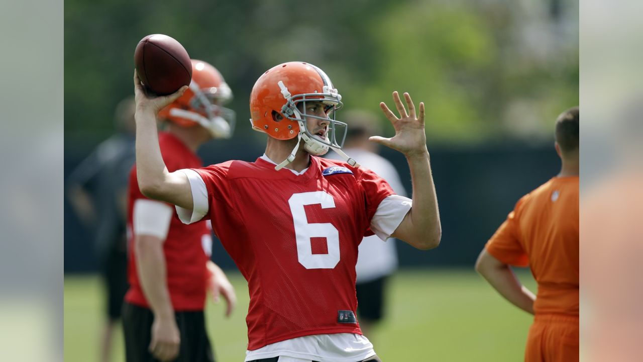 5 Things to Know about 49ers QB Brian Hoyer