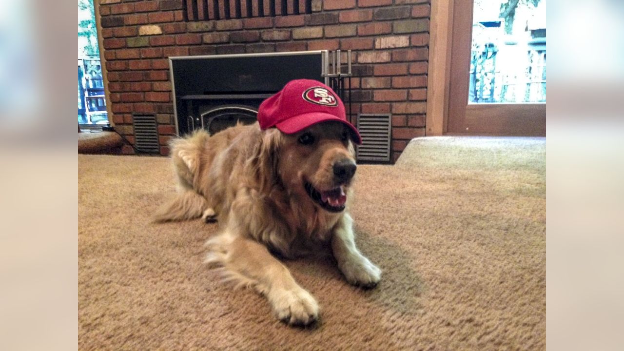 Dog Pictures from 49ers Fans