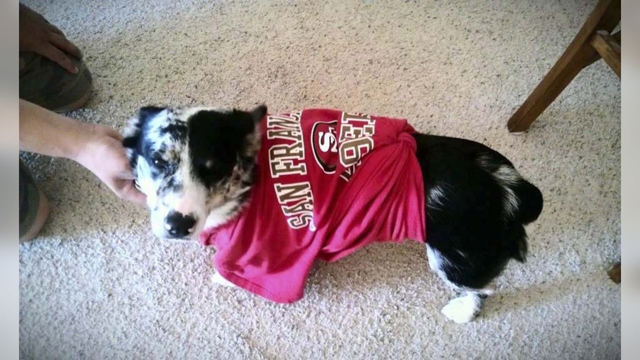 Dog Pictures from 49ers Fans