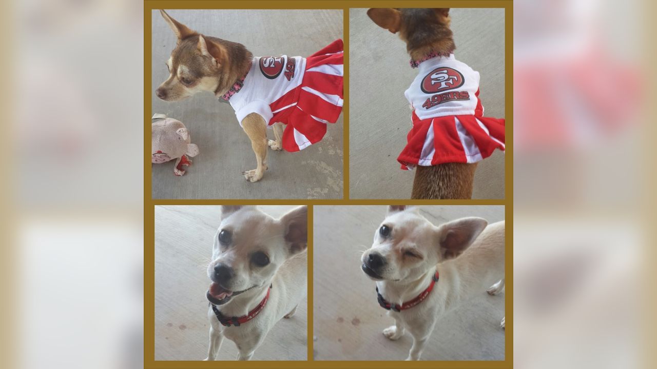 Jerry Leigh San Francisco 49ers Running Dog Costume In Red