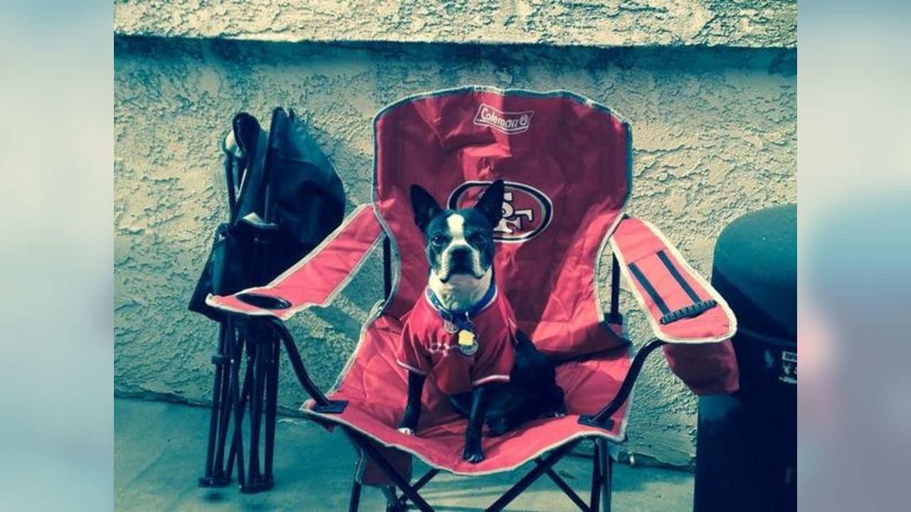 Dog Pictures from 49ers Fans