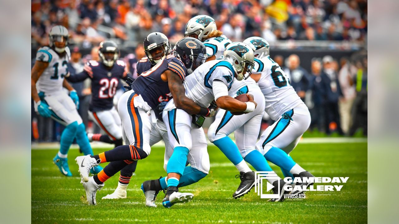 Gameday Gallery: Bears at Panthers