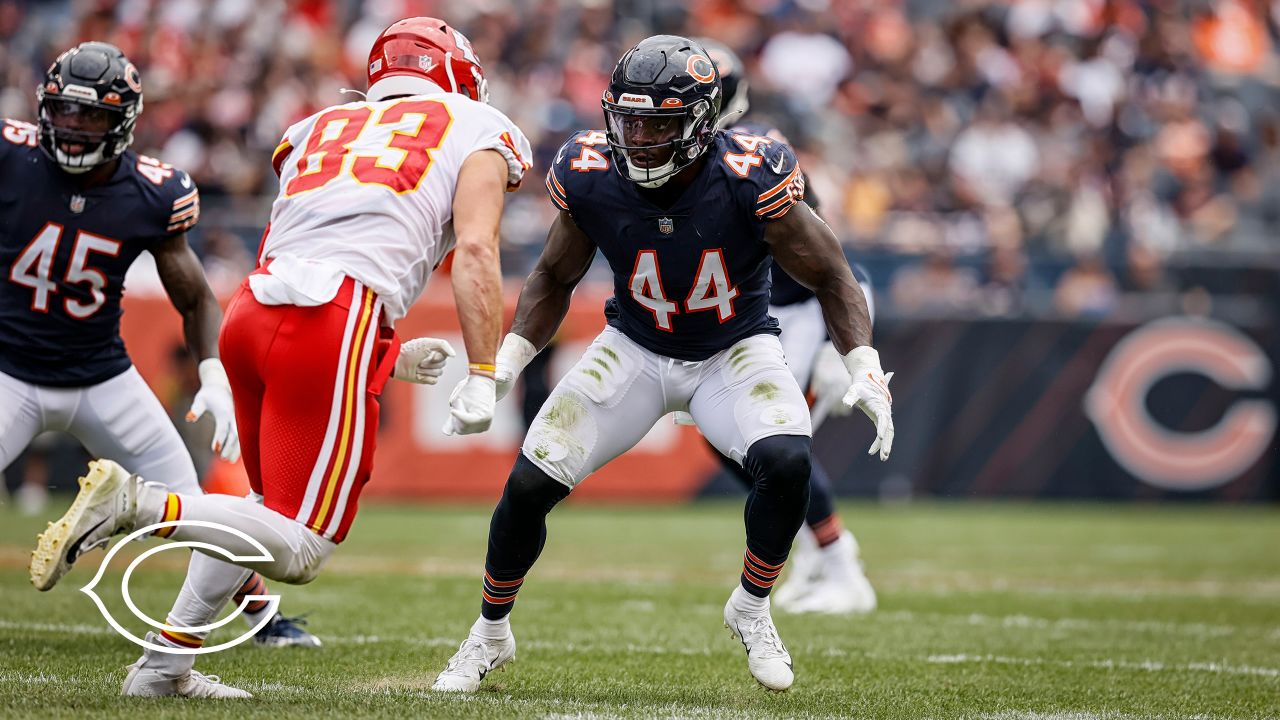 Bears sign free agents Khari Blasingame, Patrick Scales, Dieter Eiselen –  NBC Sports Chicago