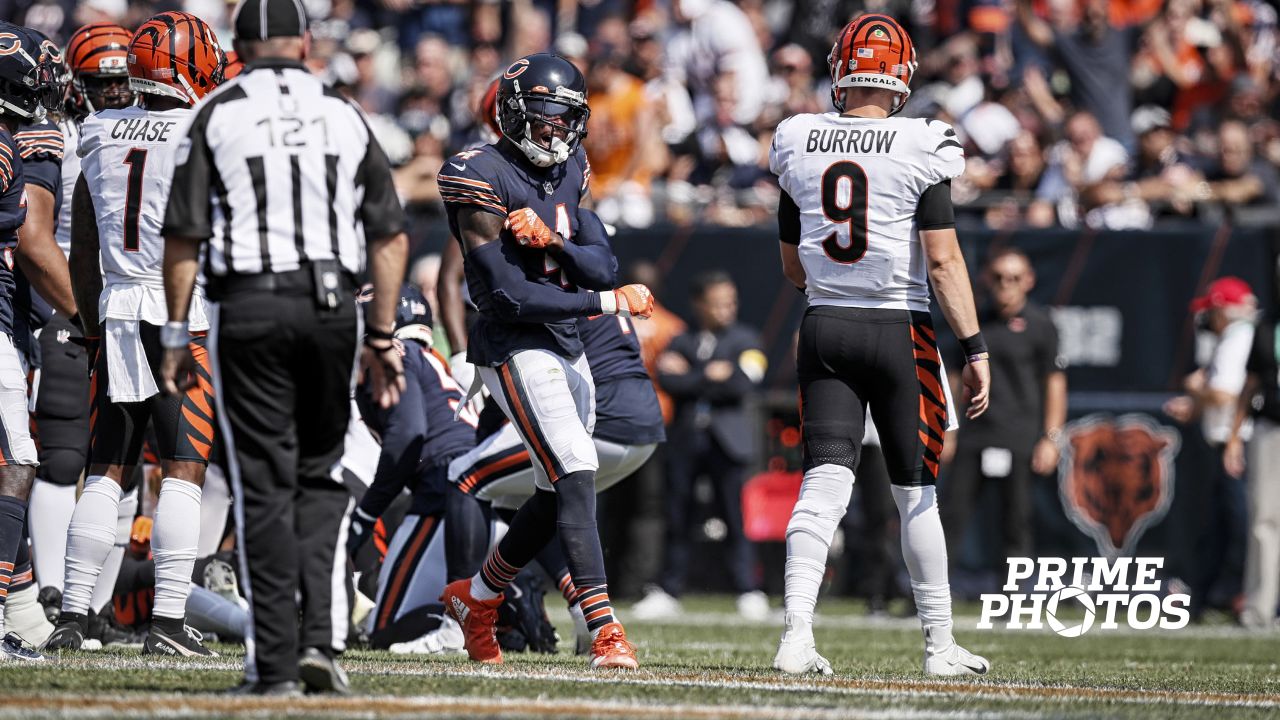 Bears QB Andy Dalton leaves win over Bengals with knee injury