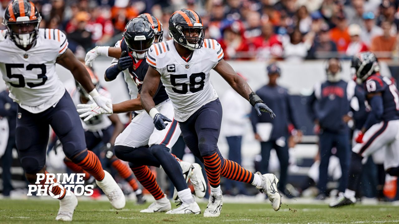 Chicago Bears' Cody Whitehair (65) leaps to congratulate teammate Khalil  Herbert on Herbert's touchdown against the Seattle Seahawks during the  second half of an NFL football game, Sunday, Dec. 26, 2021, in