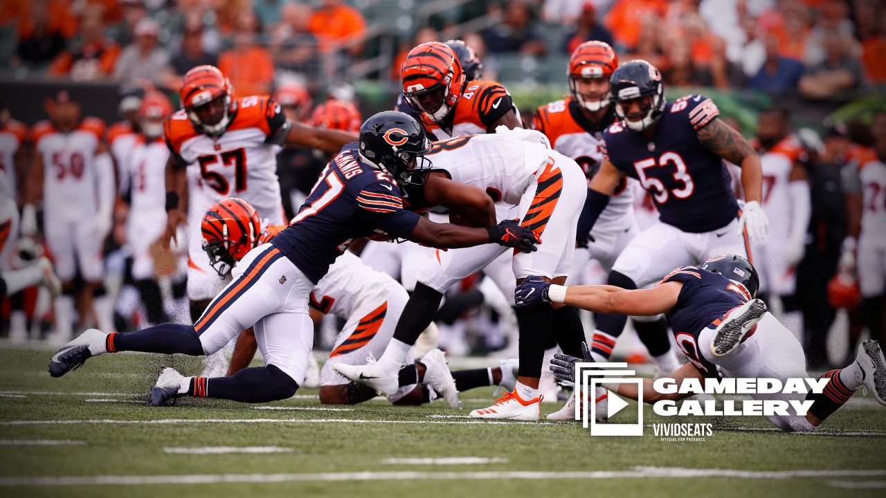 Gameday Gallery: Bears at Bengals