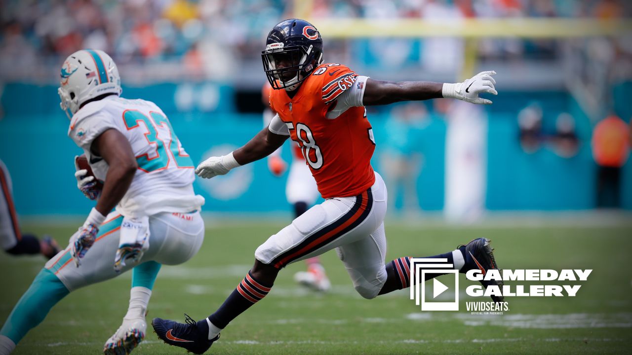 Houtz's House of Highlights  Recap of the Miami Dolphins 20-13 loss to the  Chicago Bears - The Phinsider