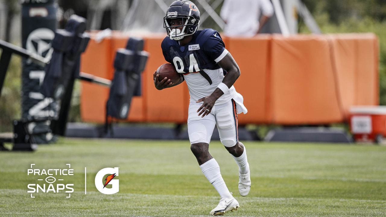 NFL: Bears' Adams trying to latch on with team