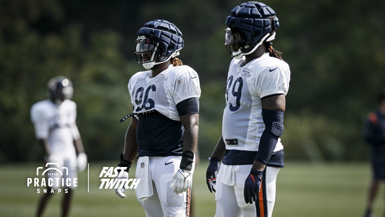 Bears counting on bigger, stronger, faster run defense