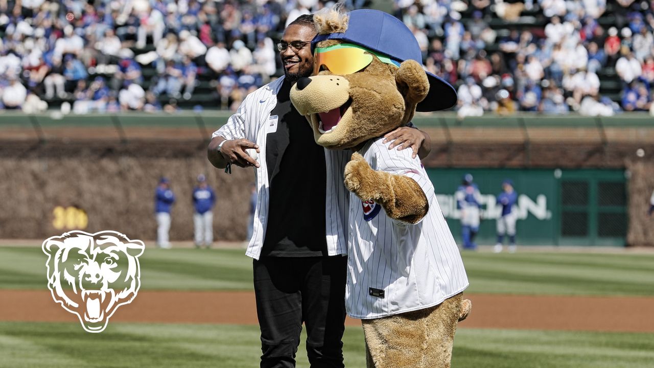 Bears rookies attend Cubs game at Wrigley Field