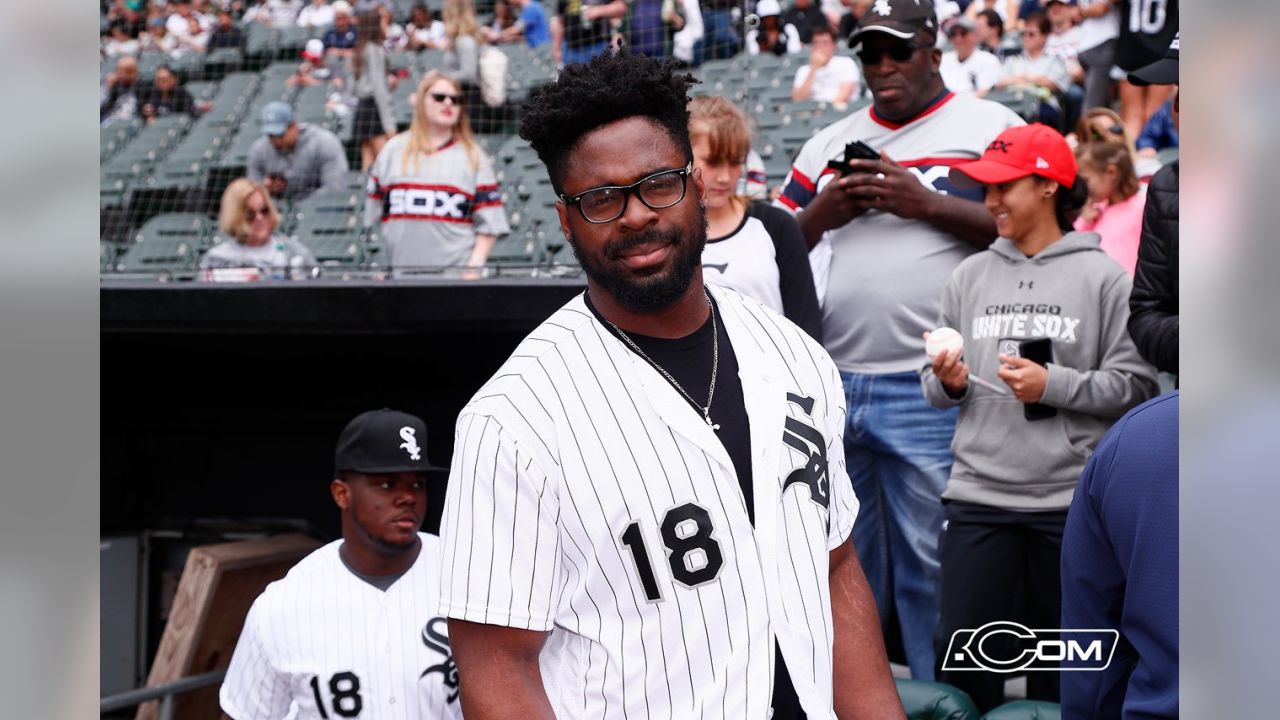 Celebrity White Sox Fans