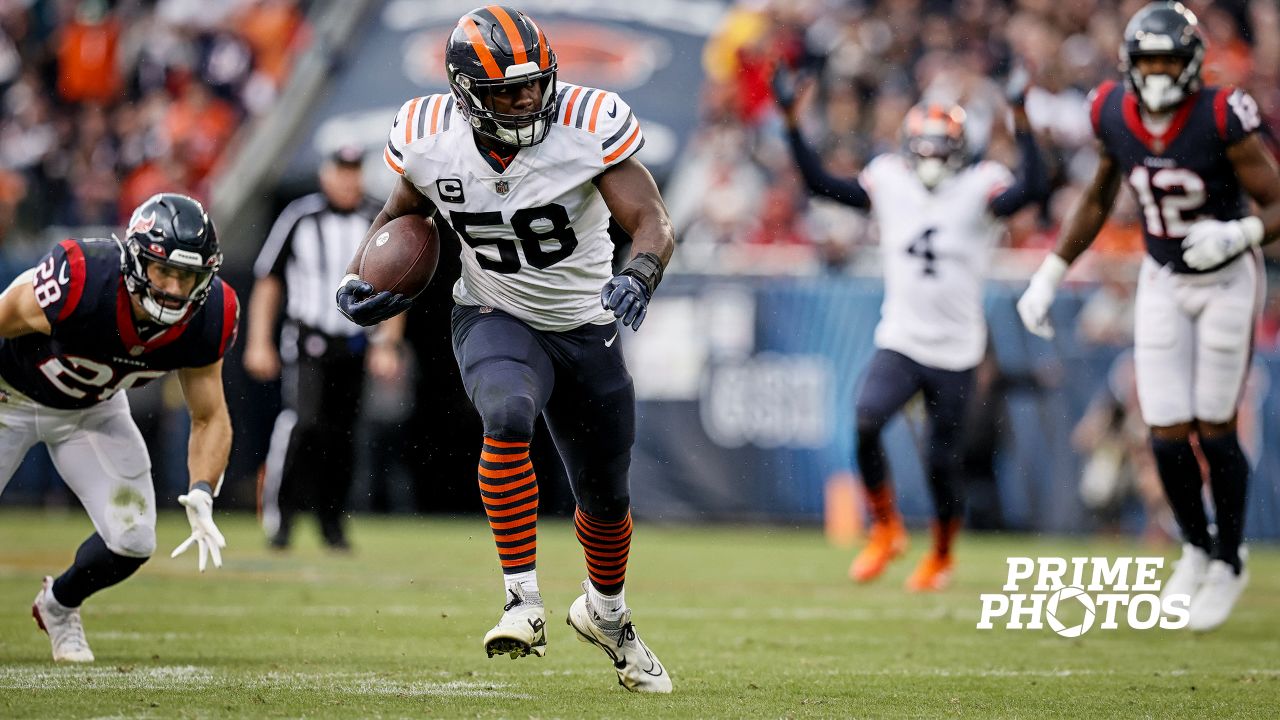 Chicago Bears' Cody Whitehair (65) leaps to congratulate teammate Khalil  Herbert on Herbert's touchdown against the Seattle Seahawks during the  second half of an NFL football game, Sunday, Dec. 26, 2021, in