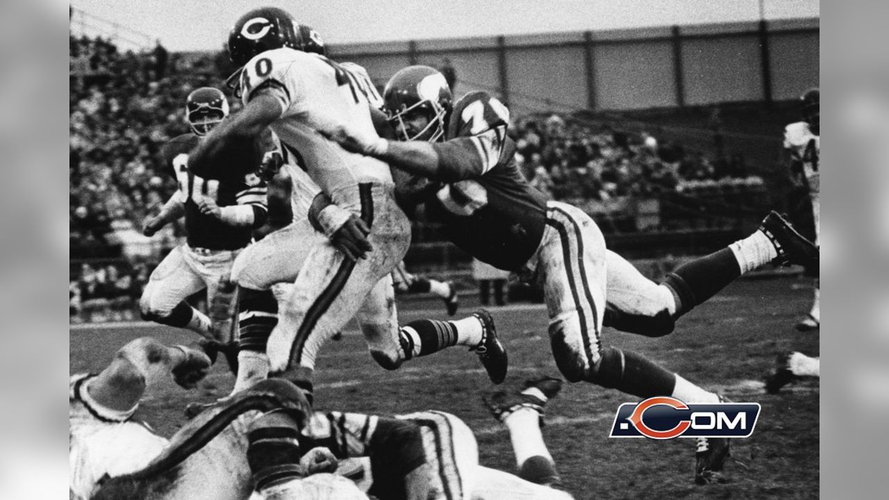 Chicago Bears' halfback Gale Sayers runs with the ball, Sept. 1968. (AP  Photo Stock Photo - Alamy