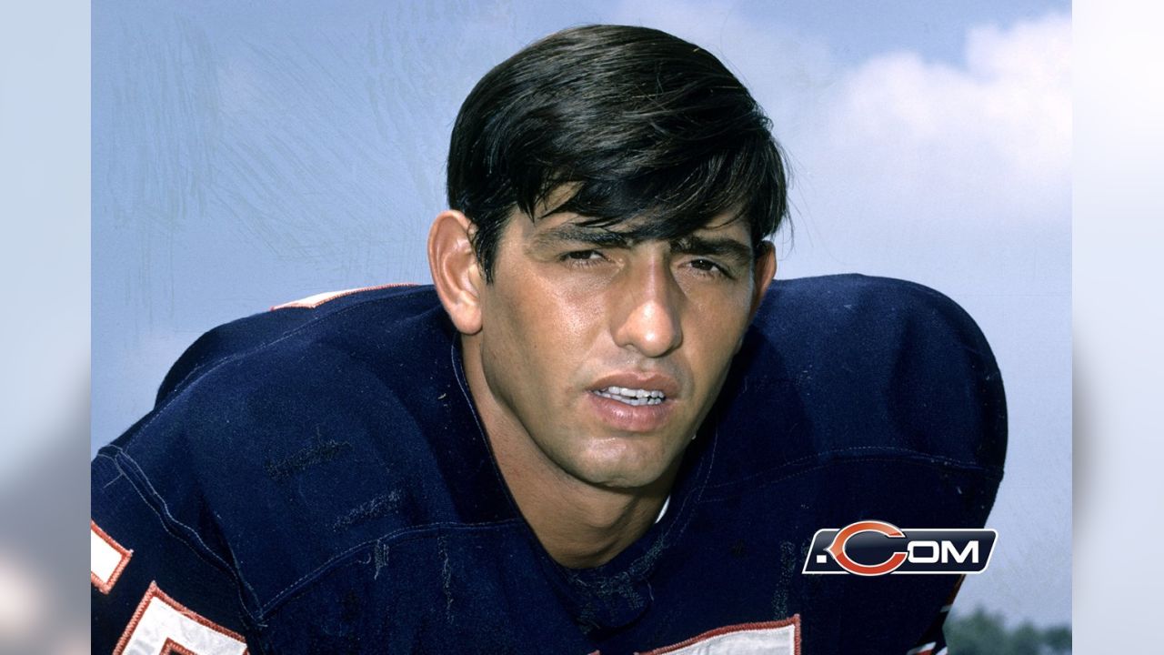 1973 Chicago Bears Team Issued Doug Buffone 7 x 8 5/8 Color photo c06171