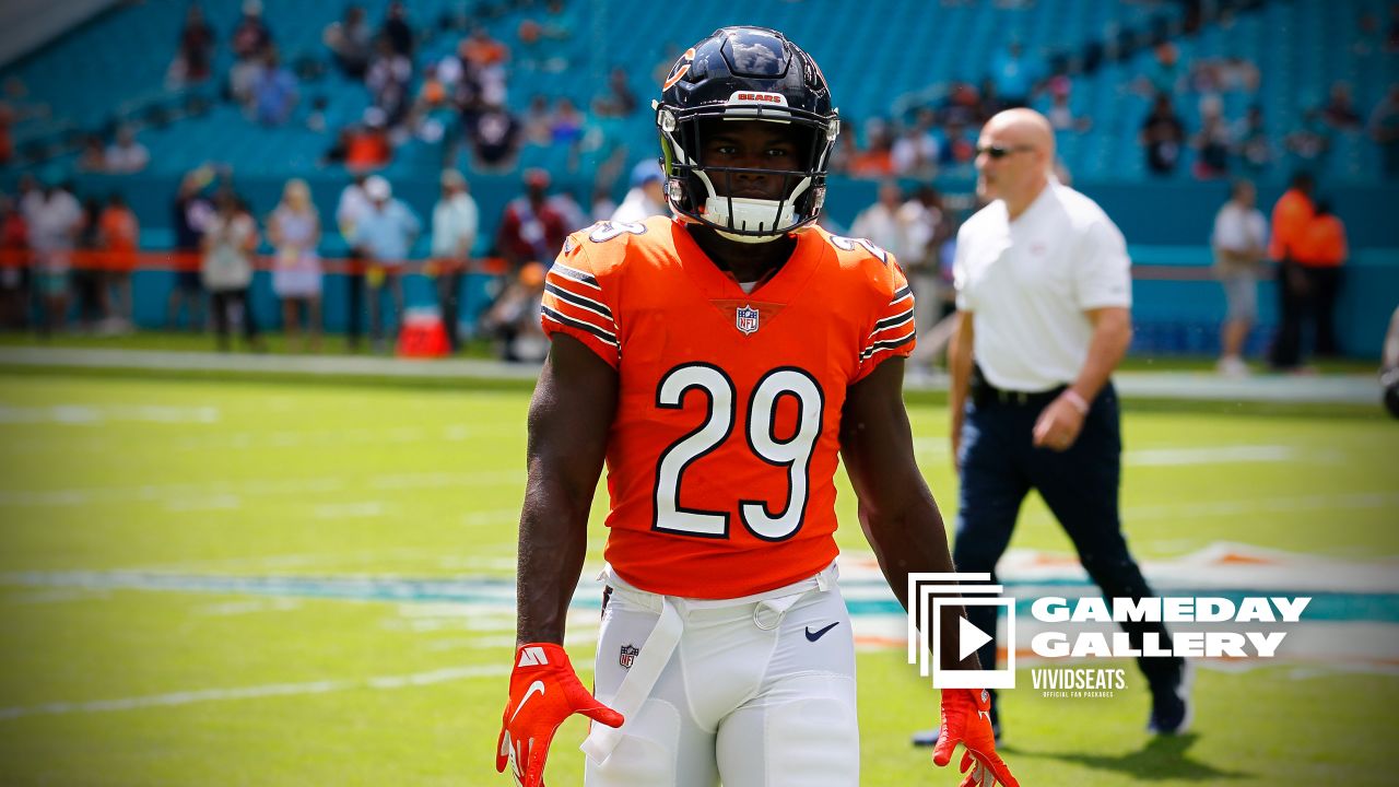 Houtz's House of Highlights  Recap of the Miami Dolphins 20-13 loss to the  Chicago Bears - The Phinsider