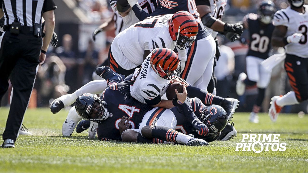 Bears QB Andy Dalton leaves win over Bengals with knee injury