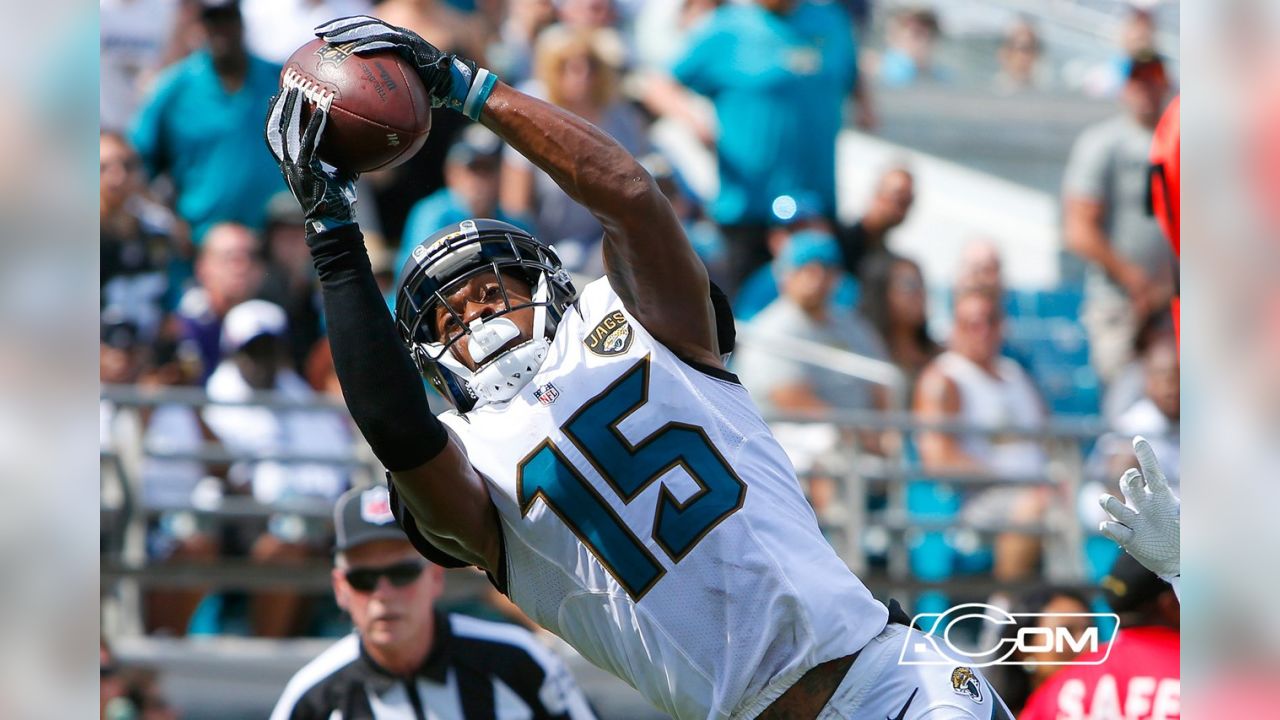 Jacksonville Jaguars: A Look at No. 15 Allen Robinson