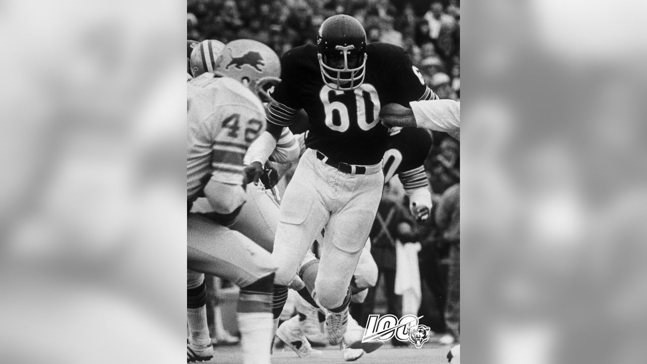 Ranking best Bears of all time: Nos. 76-100